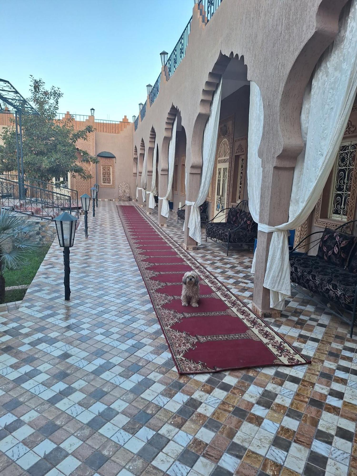 Eden Suite Marrakesh Buitenkant foto